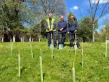 Gardeners at Royal Stoke with new trees planted 