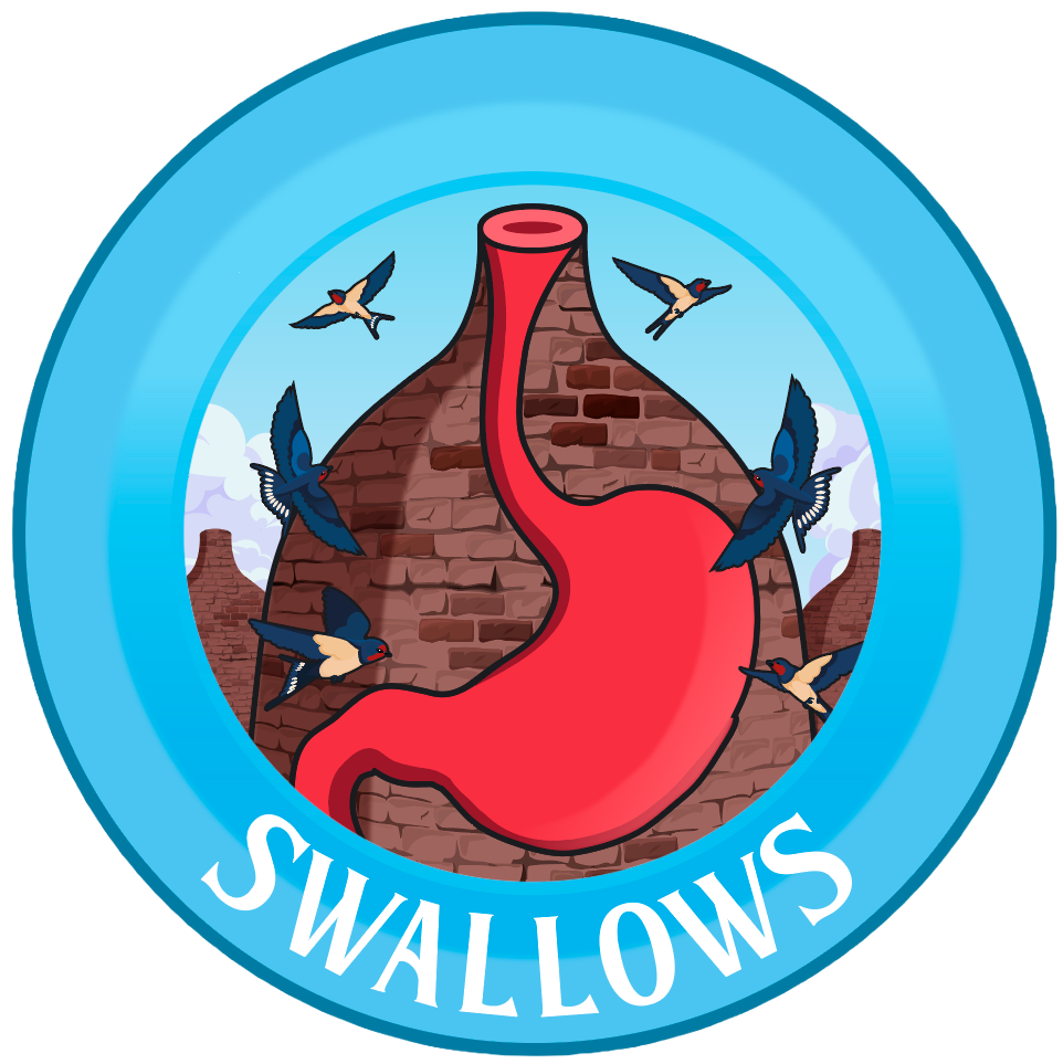 Swallows support group logo